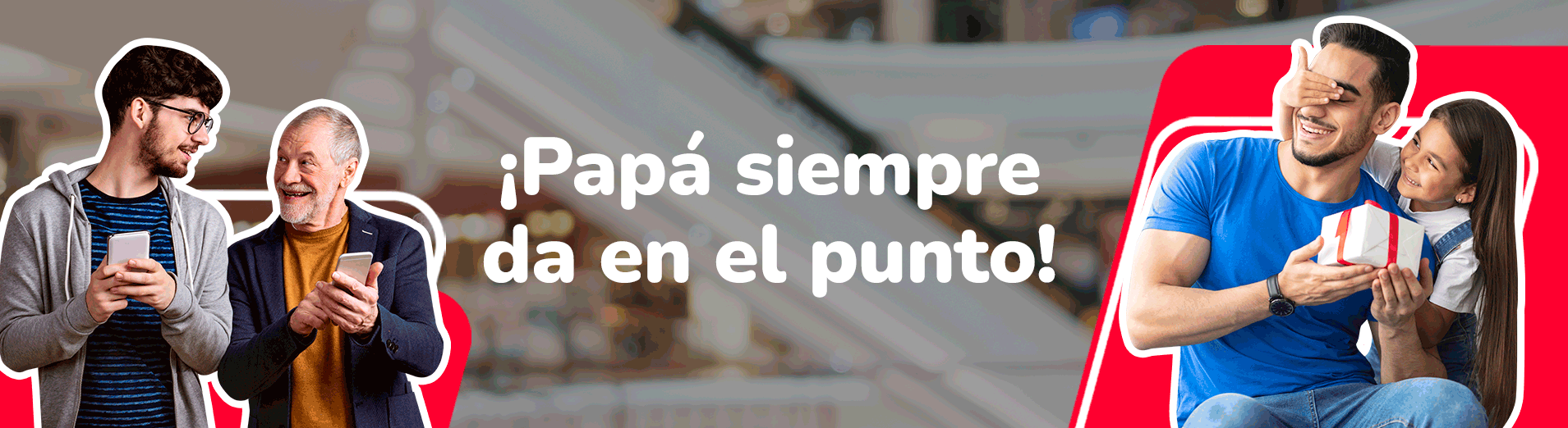 Banner BDV 4